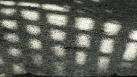 Checked pattern shadow of Chinese fan palm leaves swaying on weathered gravel co Video stock 130891700