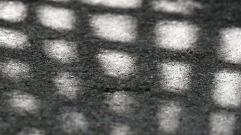 Checked pattern shadow of Chinese fan palm leaves swaying on weathered gravel co Stock Footage 130892159