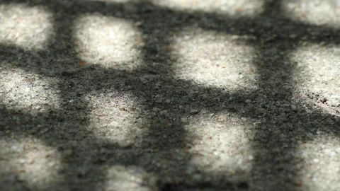 Checked pattern shadow of Chinese fan palm leaves swaying on weathered gravel co Video stock 130930192