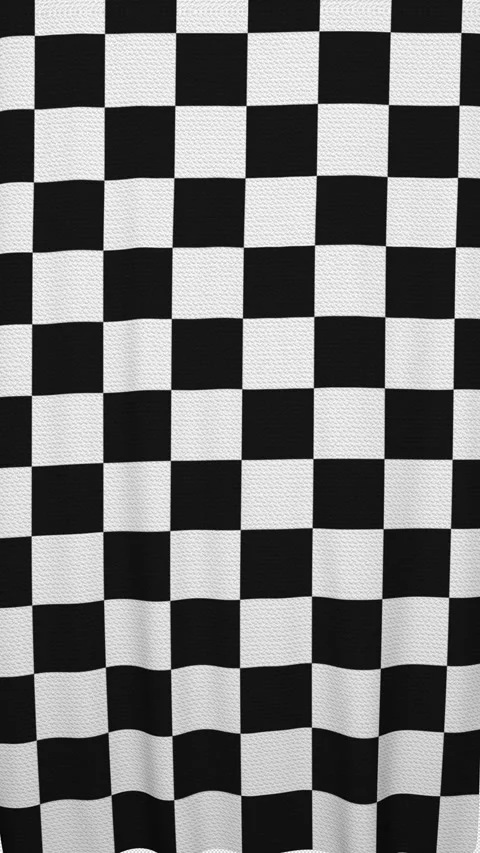 Checker Flag Transition Animation 動画素材 332076541