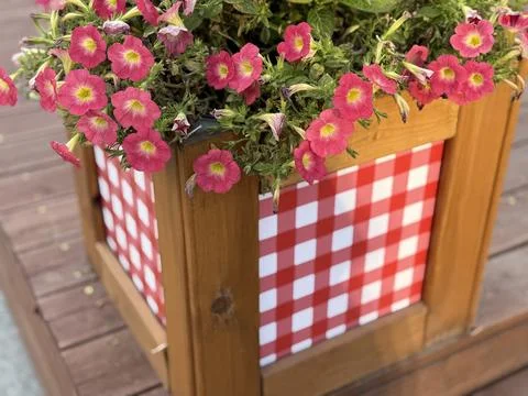 Checker-patterned planter with pink flowers on wooden deck background Stock Photos