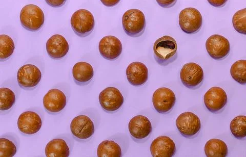 Checkerboard layout of macadamia nut shells with one highlighting. Stock Photos