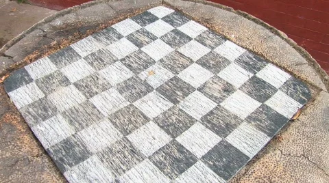  checkerboard on log in Peru Stock Footage 156944