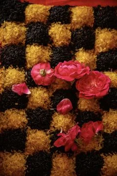 Checkerboard Pattern of Yellow and Black Rice with Pink Roses Decorative Fo.. Stock Photos