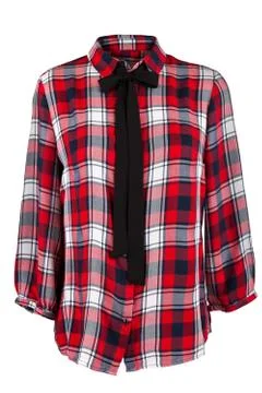 Checkered blouse with a tie Stock Photos