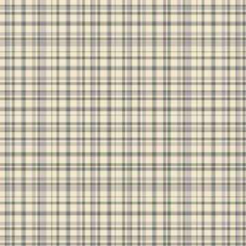 Checkered fabric tartan textile. Vector vintage seamless pattern. Stock Illustration