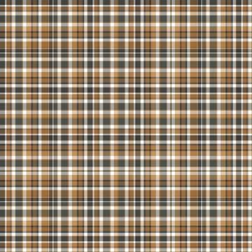 Checkered fabric tartan textile. Vector vintage seamless pattern. Stockillustratie