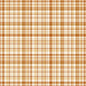 Checkered fabric tartan textile. Vector vintage seamless pattern. Stockillustratie