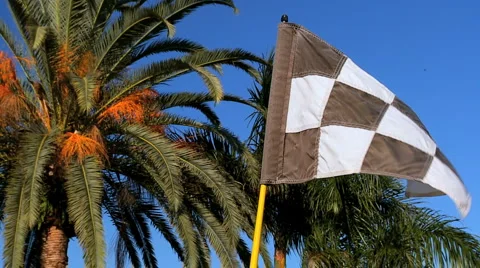 Checkered Flag on Golf Course Stock Footage