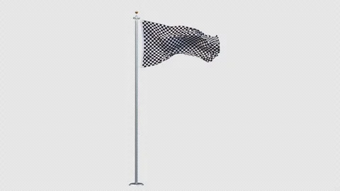 Checkered  flag is waving. Stock Footage 293296685