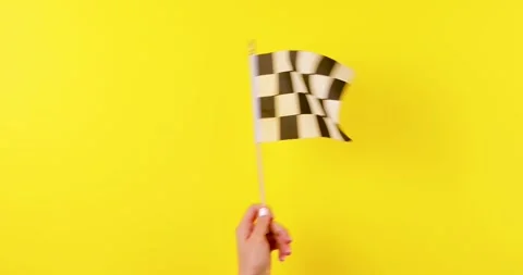 Checkered Flag Waving Stock Footage 328596514