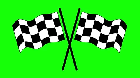 Checkered Stock Footage 307295877