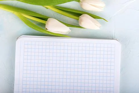 Checkered notepad sheet and tulips next to the notepad. Stock Photos
