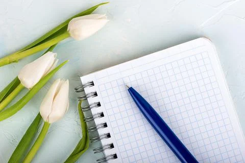 Checkered notepad sheet with blue ballpoint pen and tulips next to the notepa Foto stock