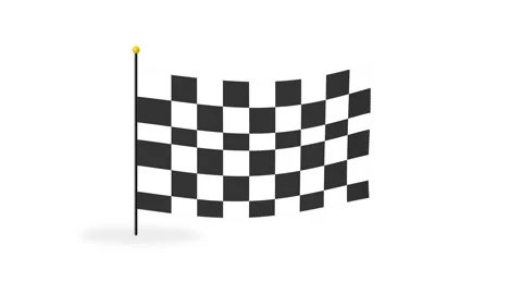 Checkered racing flag 3d canvas perfect Stock-Footage 346261727