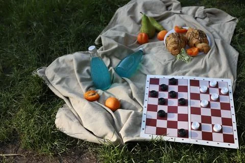 Checkers on a picnic 1 Stock Photos
