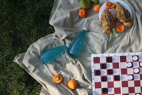 Checkers on a picnic 2 Stock Photos