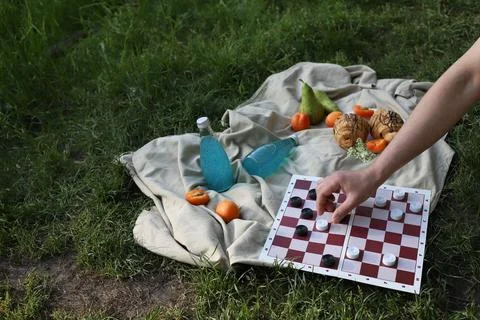 Checkers on a picnic Stock Photos