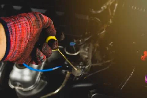 Checking automatic transmission oil level. Stock Photos