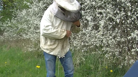 Checking bee hives Video stock 104032264