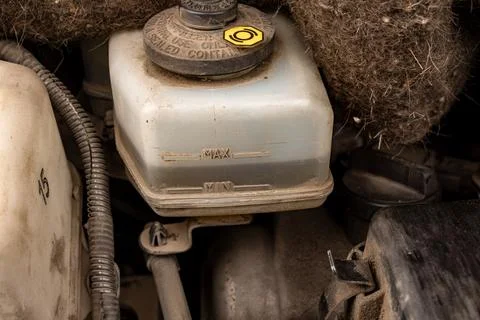 Checking Brake Fluid Level in Car Engine Bay Stock Photos