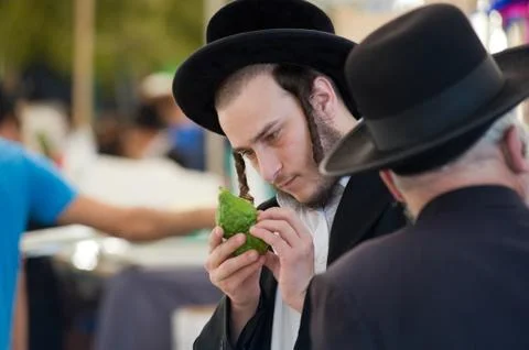 Checking a citron Stock Photos