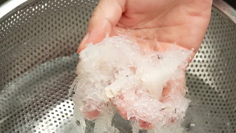 Checking Clean Swiftlet Bird Nest Strands On Human Hand 库存影片 339367993