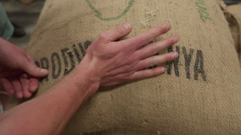 Checking Coffee Beans for Quality Stock Footage 288668869