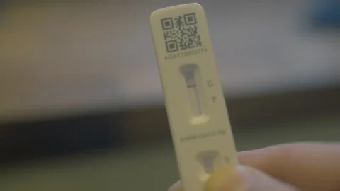 Checking a Covid test 動画素材 286811037