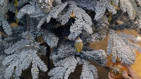 Checking decoration on artificial fir tree covered with frost Stock Footage 71417125