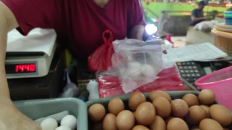Checking eggs quality with flashlight Stock Footage 262626037