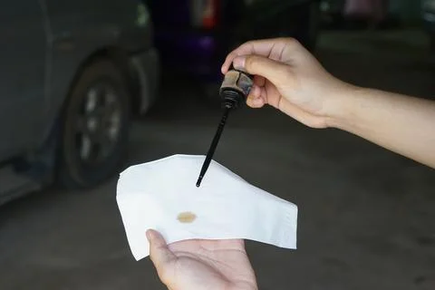 Checking engine oil condition with a dipstick and tissue in a vehicle maintenanc Stock Photos