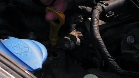 Checking engine oil with dipstick in car Stock Footage 346771492
