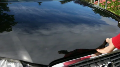 Checking engine oil Stock Footage 848696