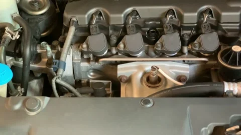 Checking engine oil level of motor vehicle Video stock 171241011