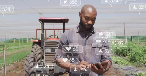 Checking farmer using tablet in shade-netted farm field, with red tractor and Foto stock