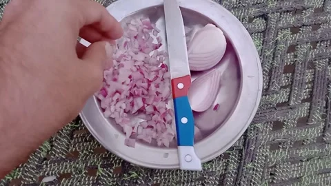 Checking Finely Chopped Onion by Hand Vídeos de archivo 347109479