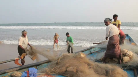 Checking fishing nets Video stock 22517325