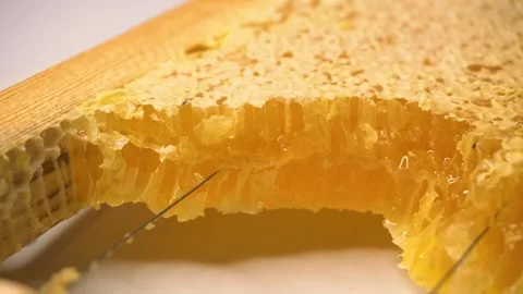 Checking the foundation on the frame by the beekeeper Stock Footage 252530907