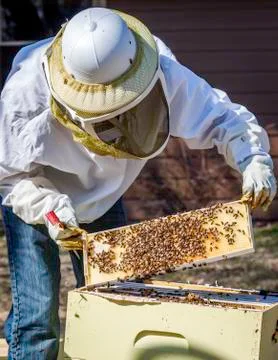 Checking the Frames Stock Photos