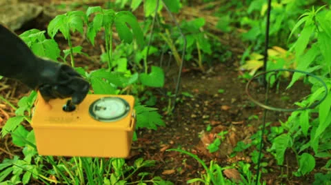 Checking garden radiation geiger counter gieger 스톡 동영상 23574698