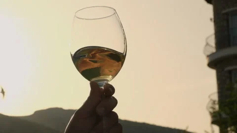 Checking a glass of white wine at a wine yard as sunsets, close up Stock Footage 247732873