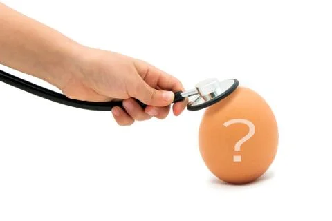 Checking For A Healthy Egg, Egg with Stethoscope with white background Stock Photos
