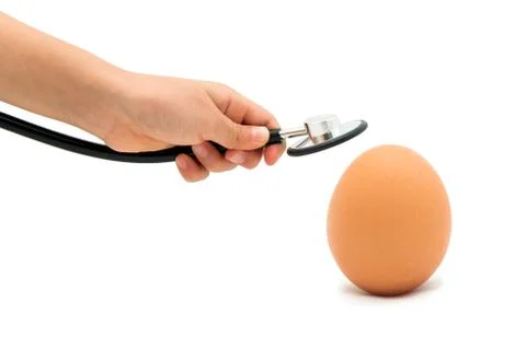 Checking For A Healthy Egg, Egg with Stethoscope with white background Stock Photos