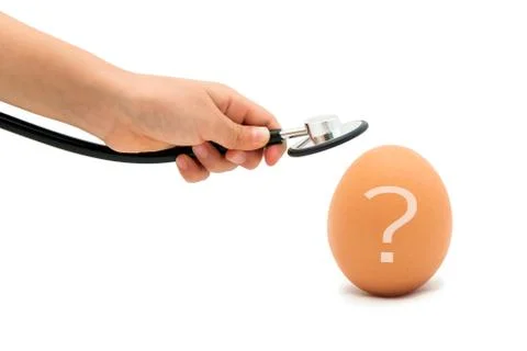 Checking For A Healthy Egg, Egg with Stethoscope with white background Stock Photos