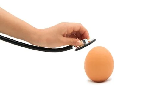 Checking For A Healthy Egg, Egg with Stethoscope with white background Stock Photos