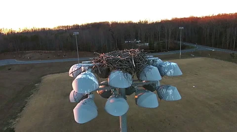 Checking Inside the Eagles Nest Stock Footage 46265047