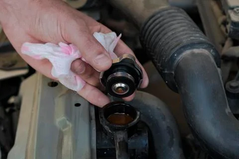 Checking the level of antifreeze. 库存照片