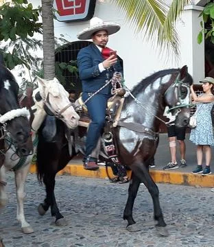 Checking messages at the parade Stock Photos