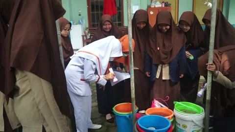 Checking mosquito larvae with the potential for dengue fever Stock Footage 236017634